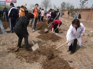 生物制药工程系师生植树活动